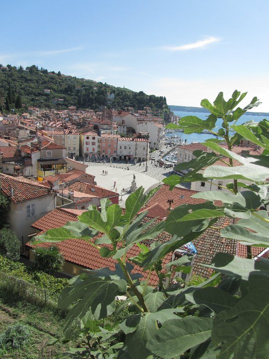 59136_1613296052752_2197450_n