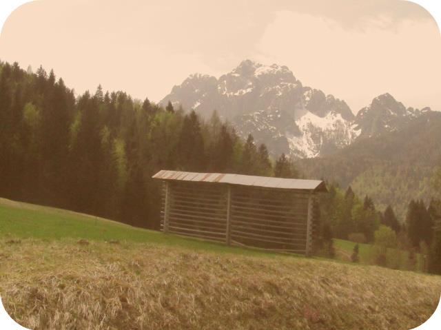 600989_10201119685854733_2139286678_n